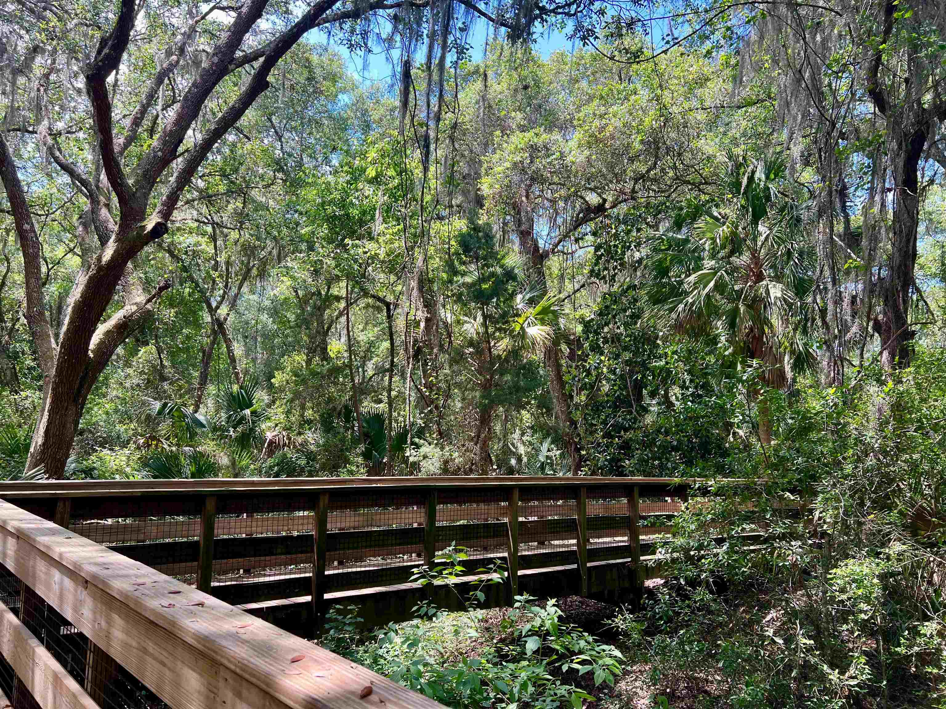 655 East Bianca Circle St. Augustine, FL 32086 - Photo 45 of 53 View of deck