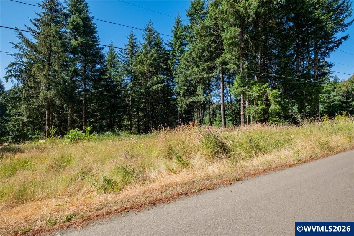432 Chamberlain Road Falls City, OR 97344 - Photo 26 of 26