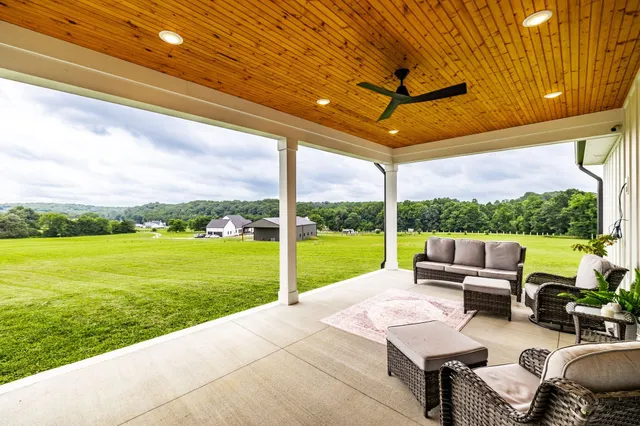 a close up of a potted plant in a room