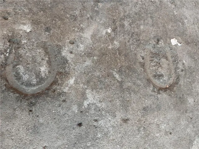 $1,500 | 11 Clyde Street, Ellwood City, PA 16117