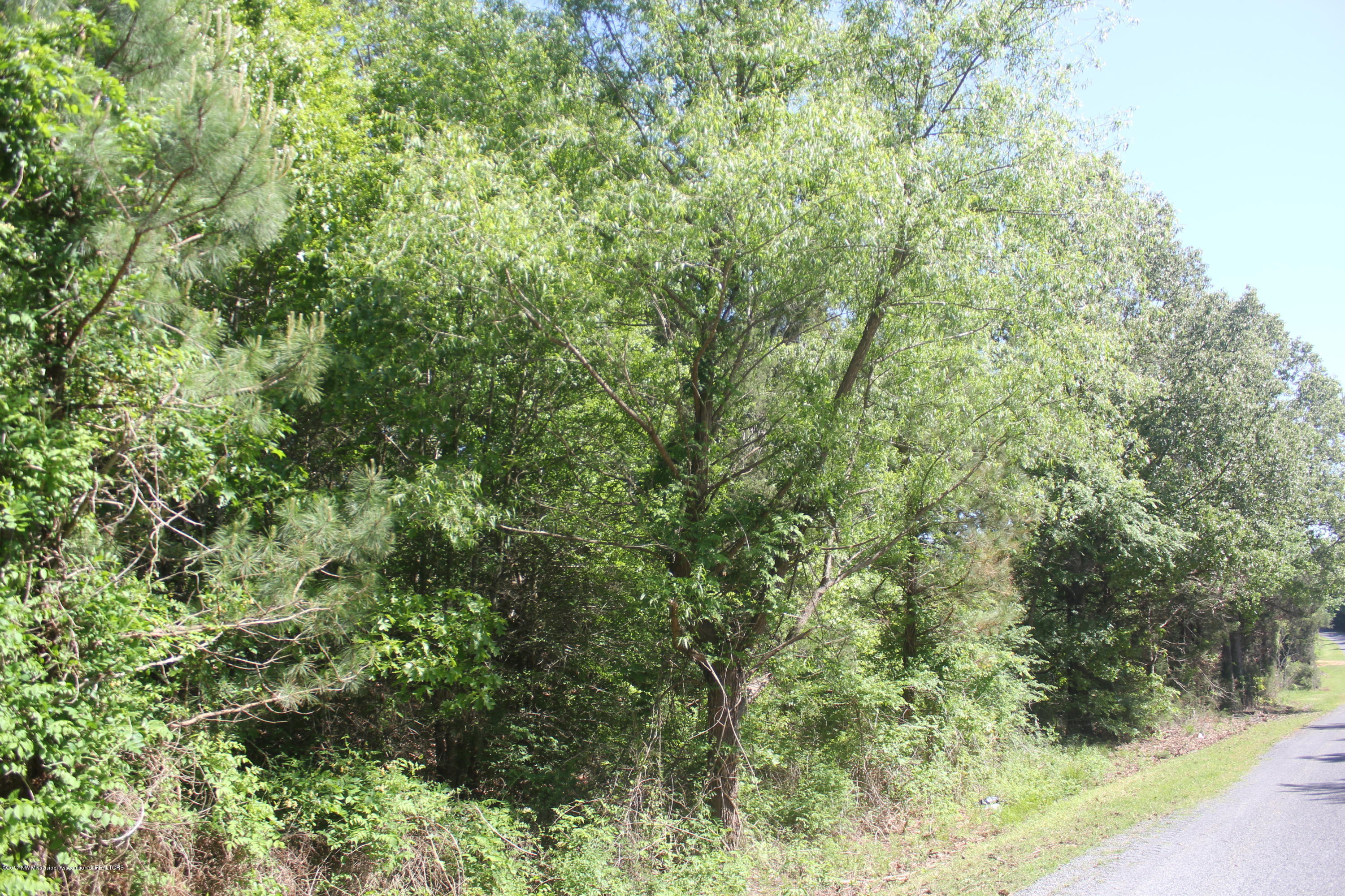 18 Barr Road Coldwater, MS 38618 - Photo 11 of 32 011