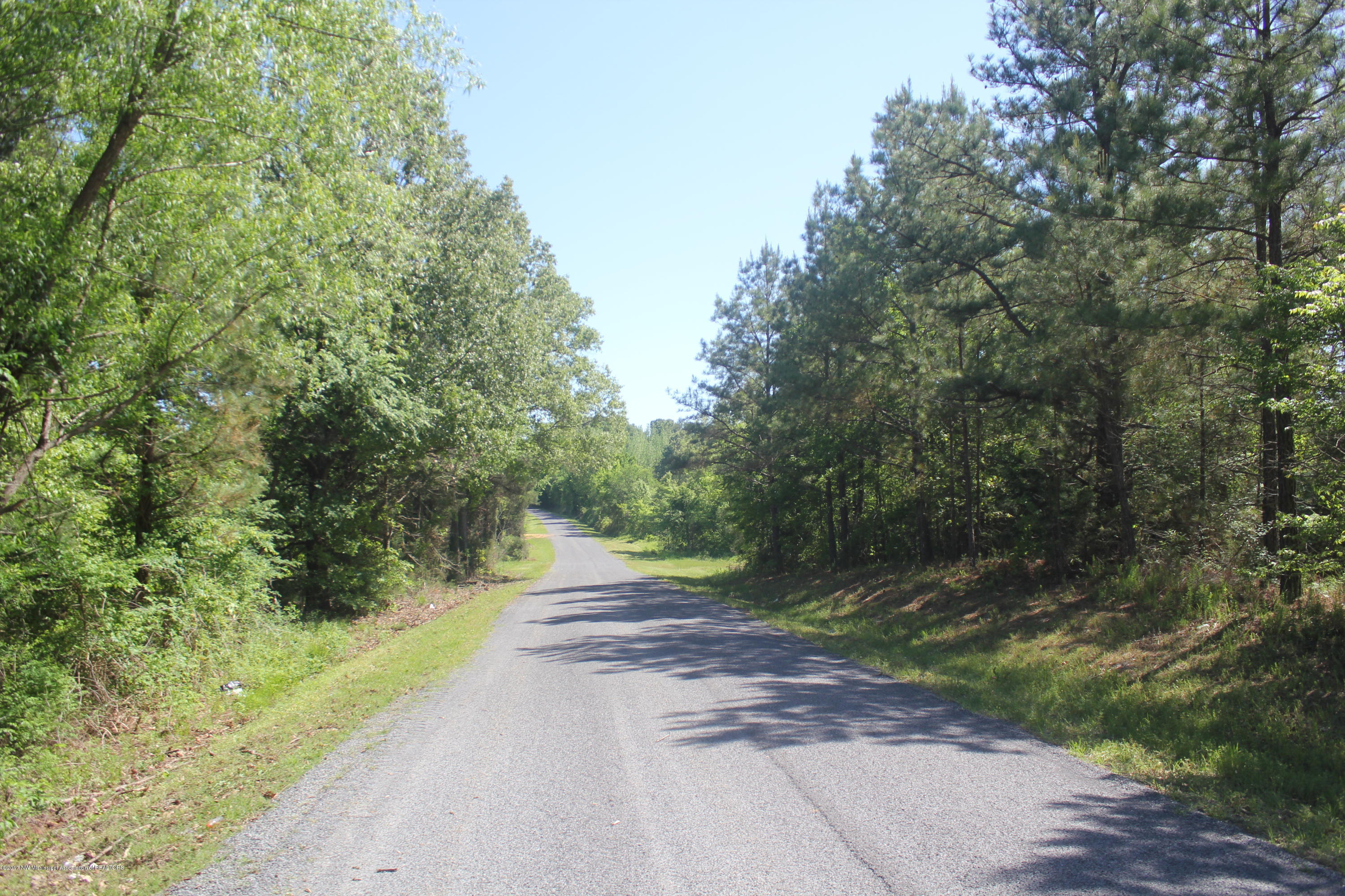 18 Barr Road Coldwater, MS 38618 - Photo 12 of 32 012