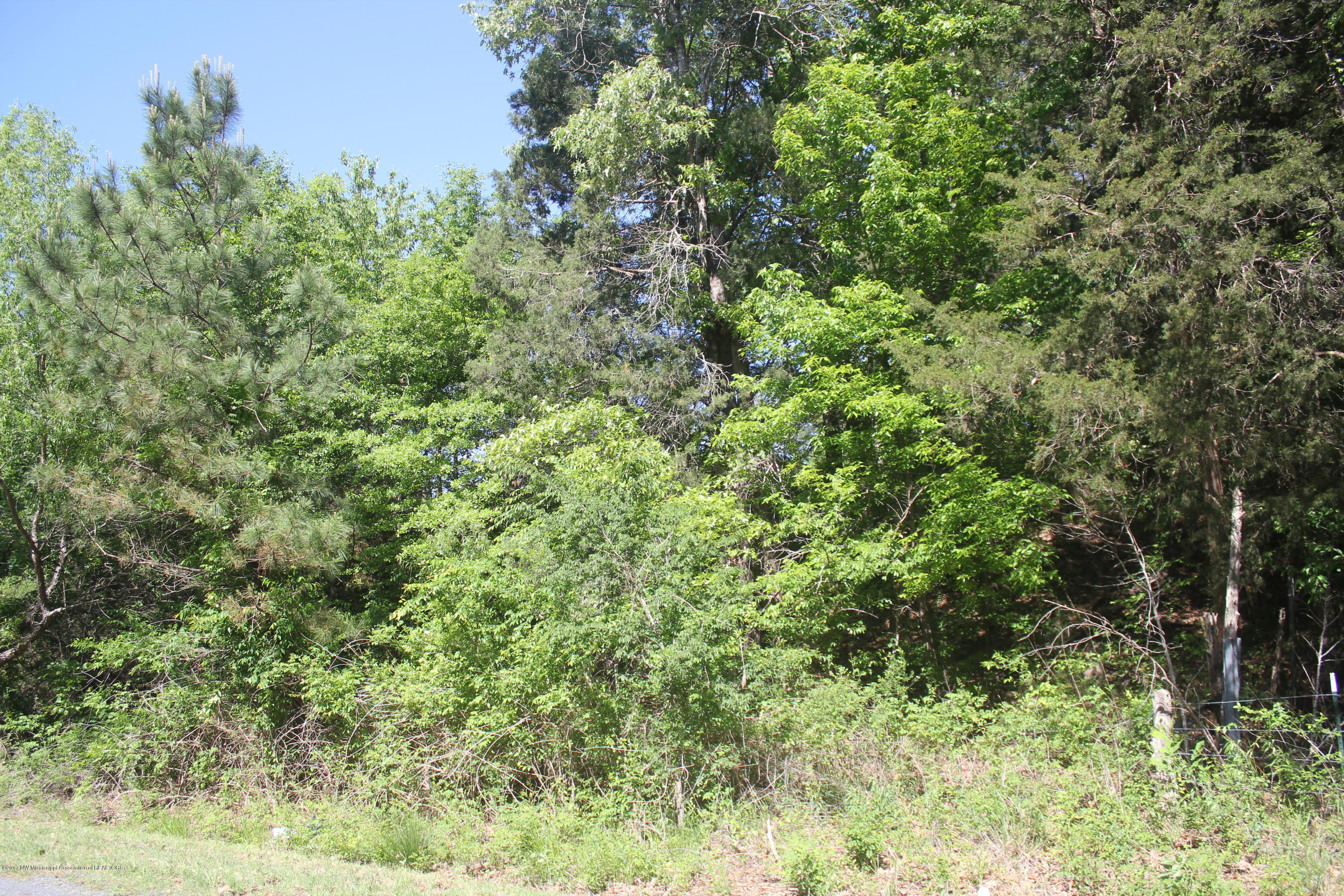 18 Barr Road Coldwater, MS 38618 - Photo 13 of 32 013