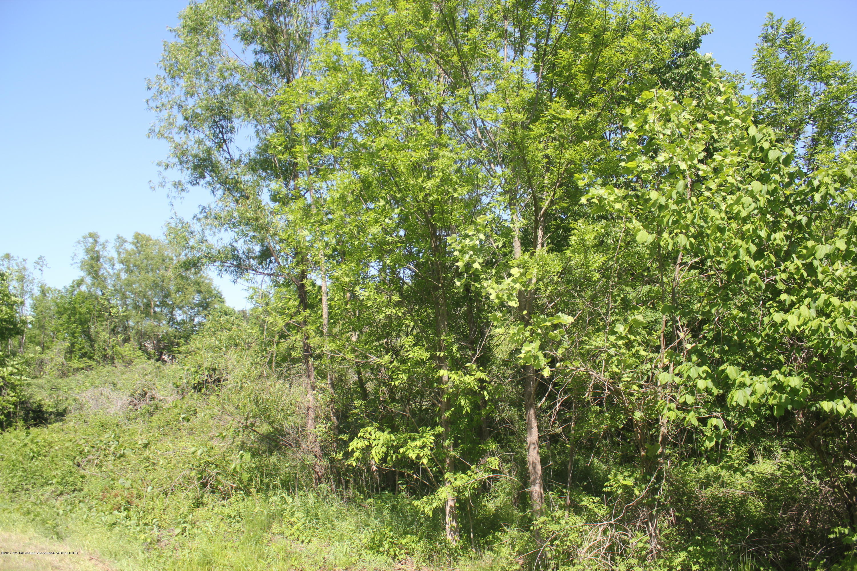 18 Barr Road Coldwater, MS 38618 - Photo 16 of 32 017