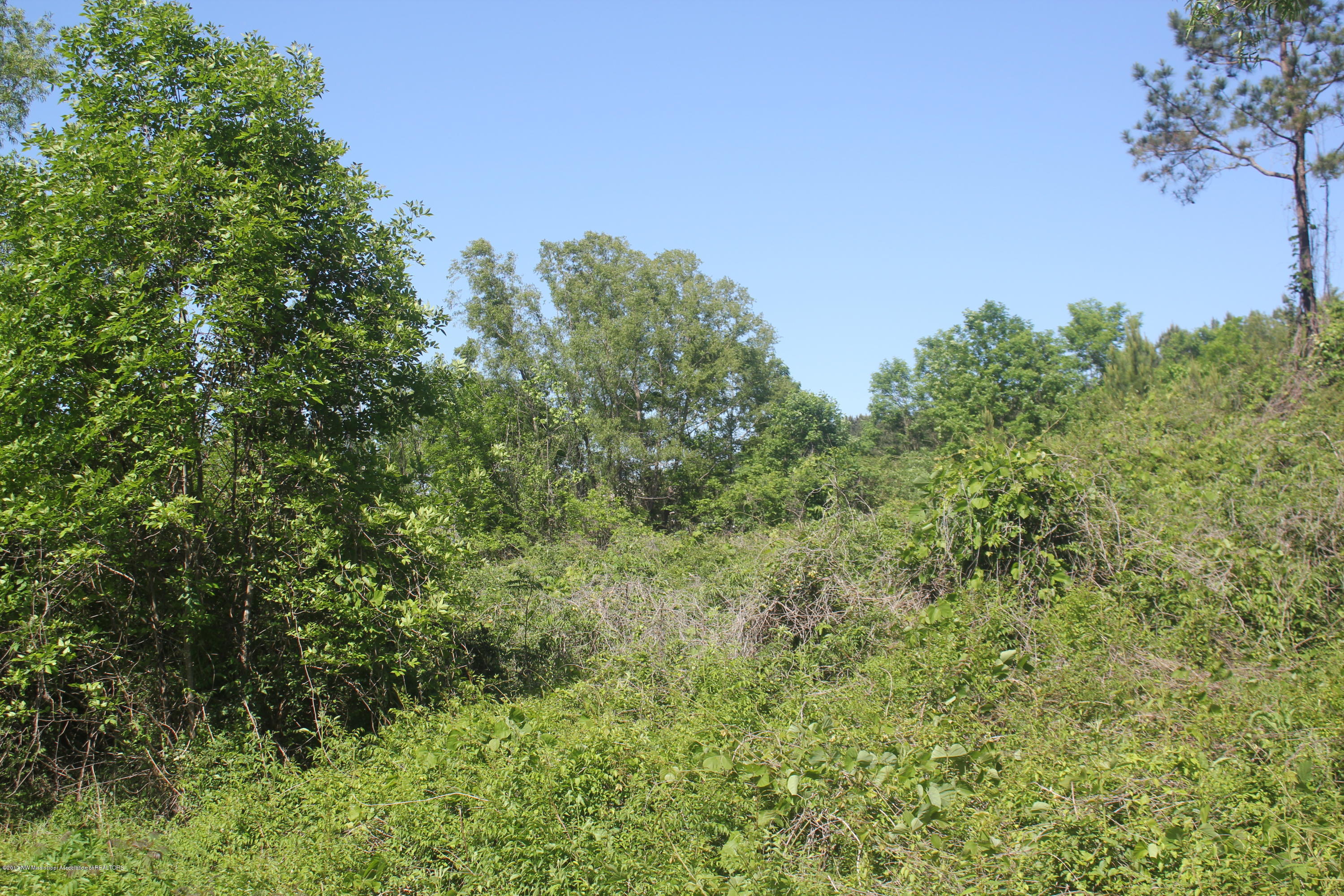 18 Barr Road Coldwater, MS 38618 - Photo 19 of 32 020