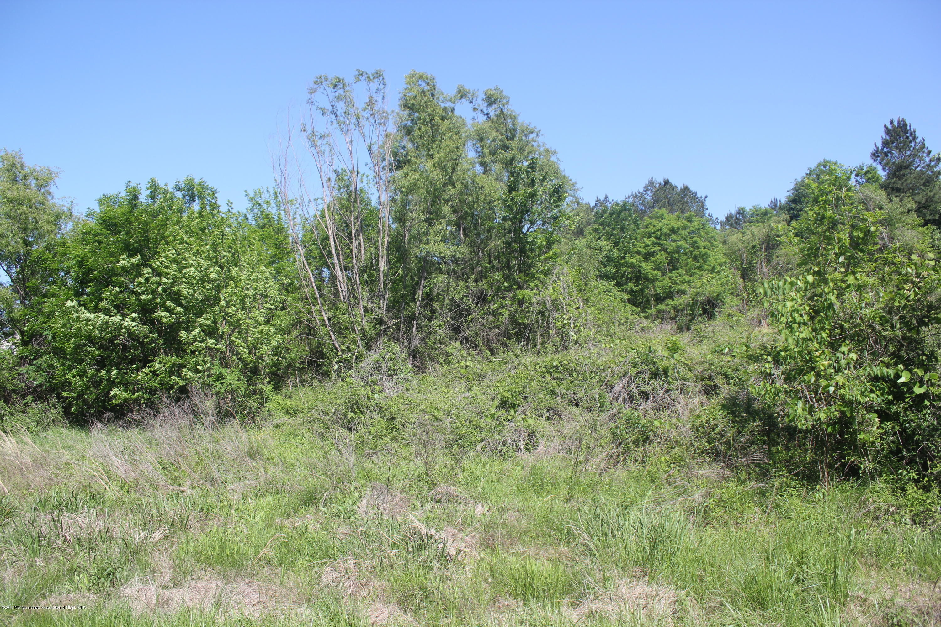 18 Barr Road Coldwater, MS 38618 - Photo 20 of 32 022