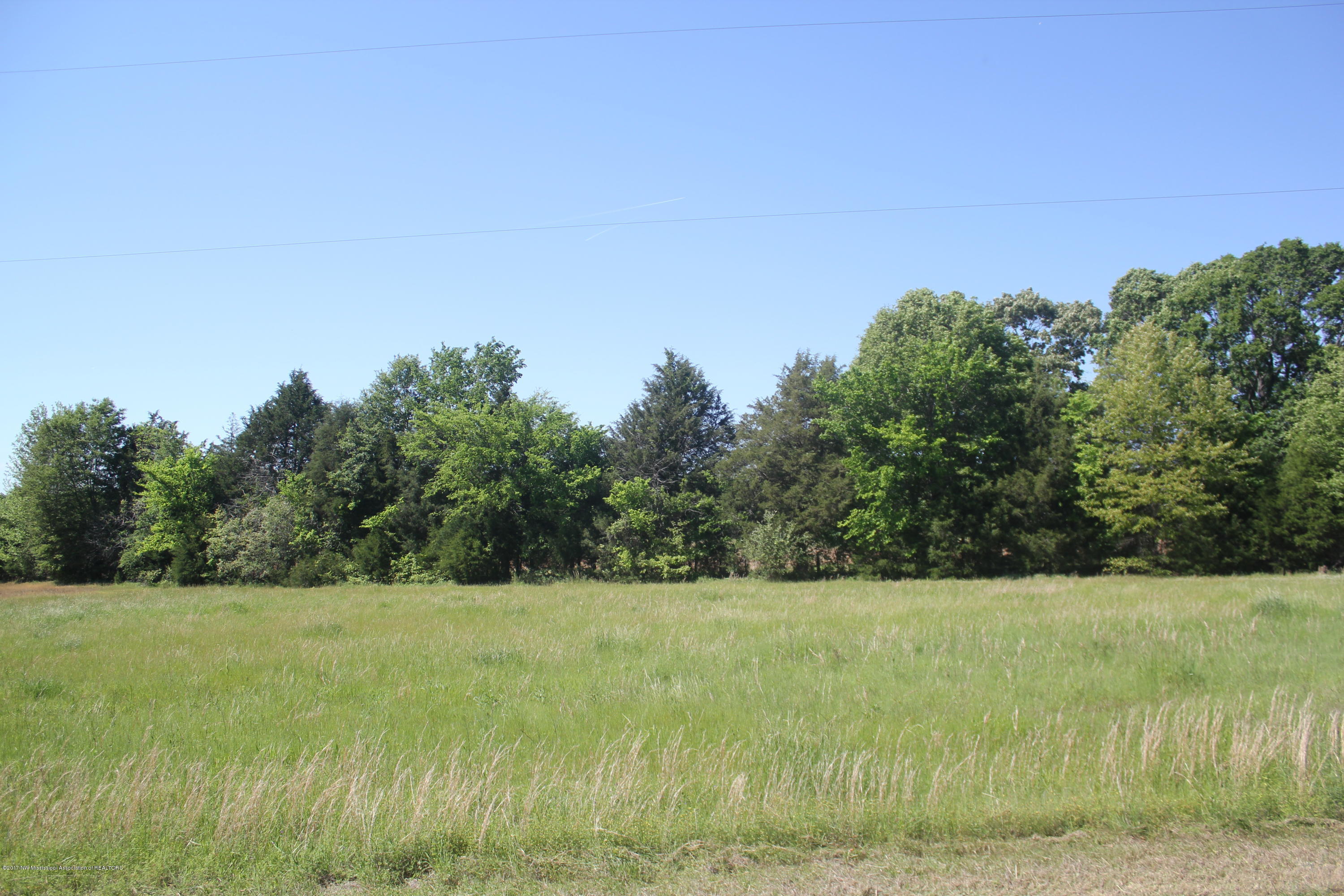 18 Barr Road Coldwater, MS 38618 - Photo 2 of 32 002