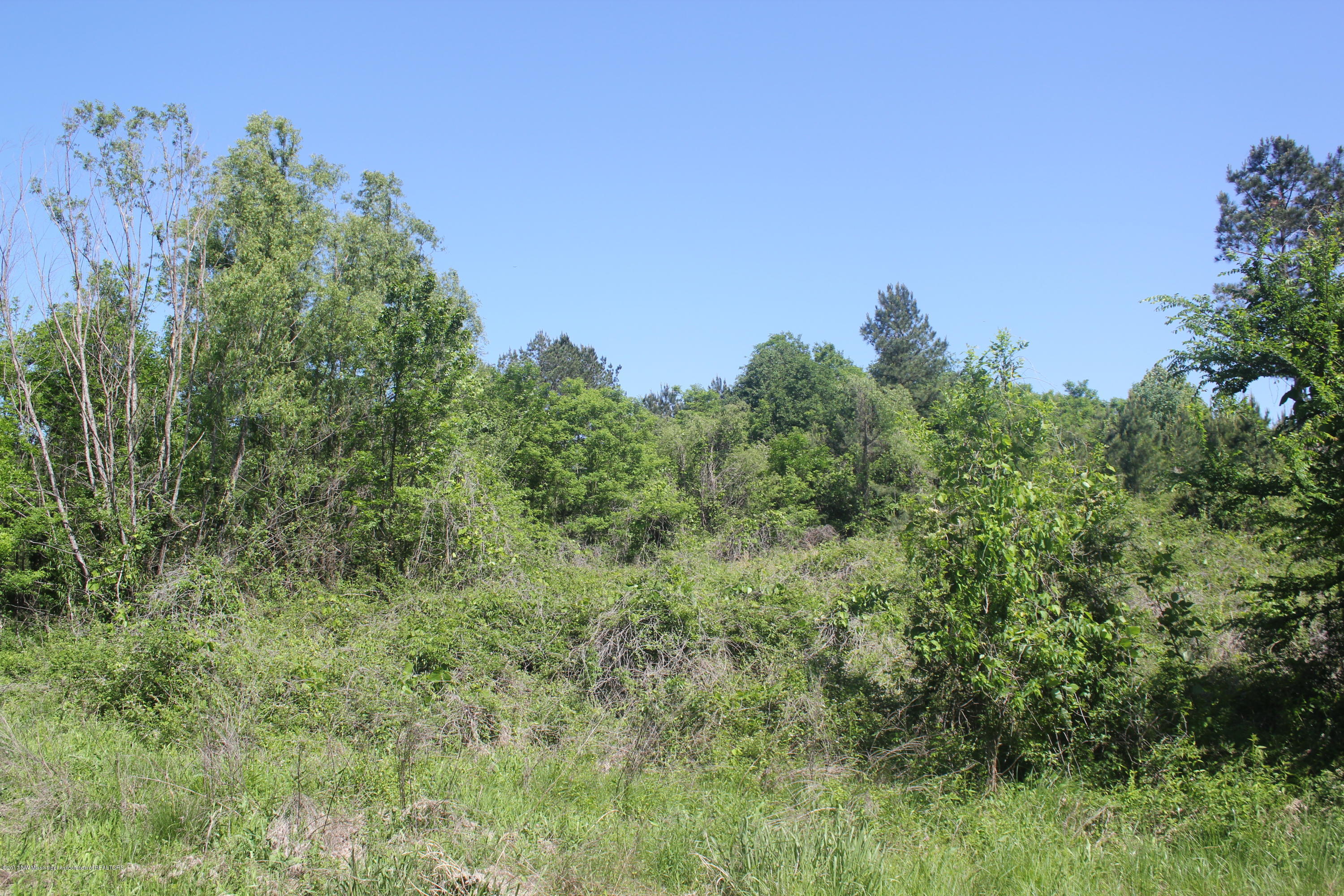 18 Barr Road Coldwater, MS 38618 - Photo 22 of 32 025