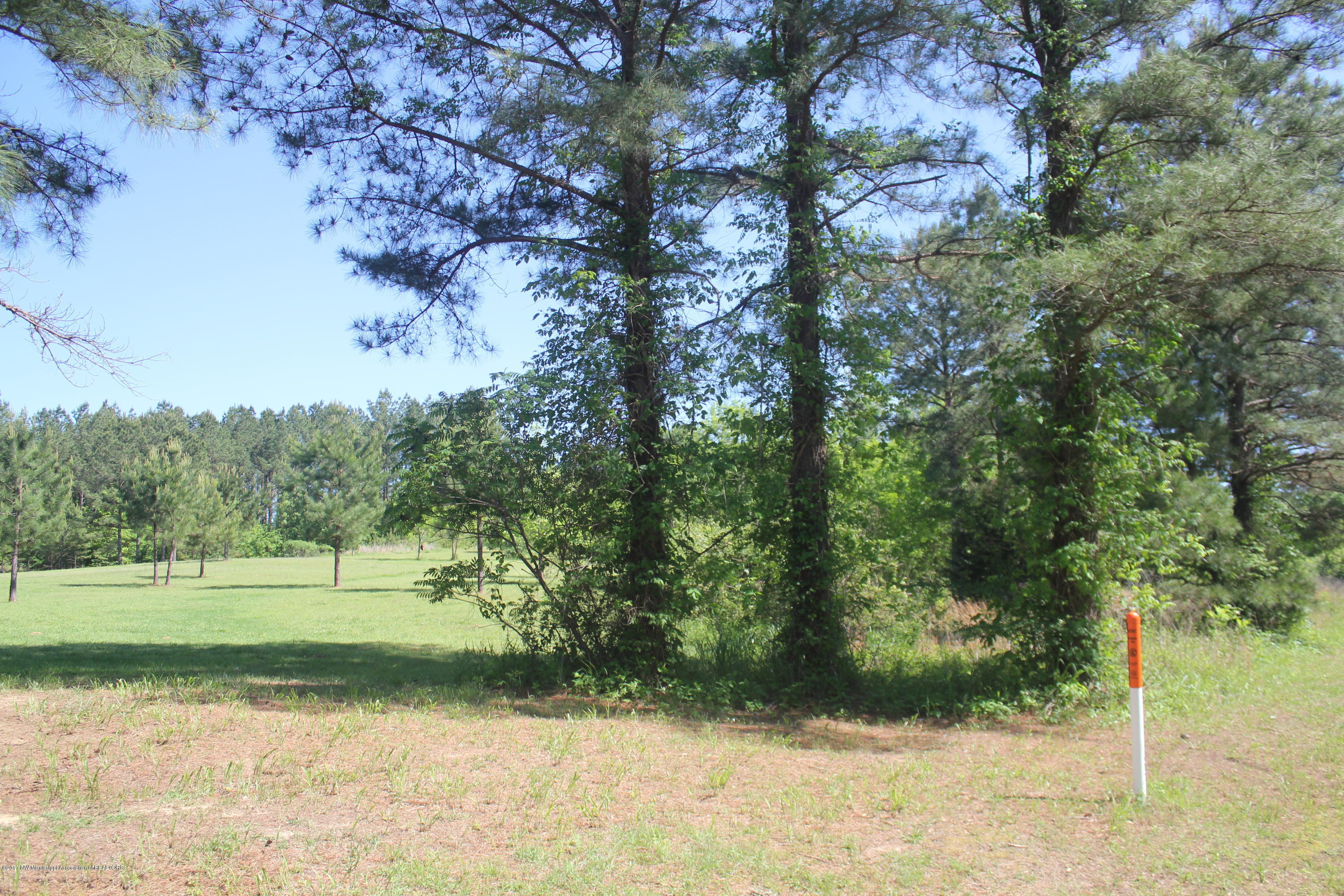 18 Barr Road Coldwater, MS 38618 - Photo 23 of 32 026