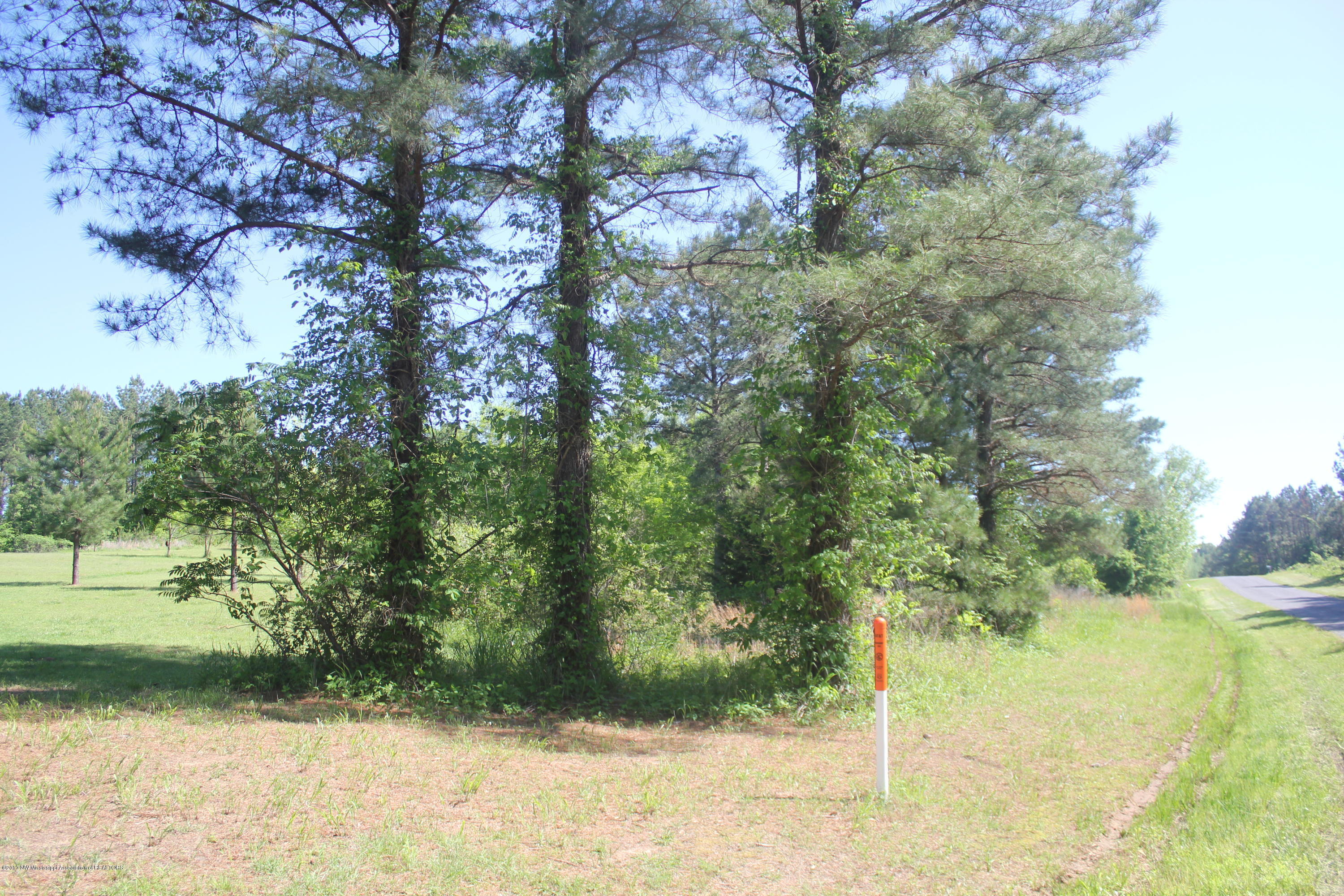 18 Barr Road Coldwater, MS 38618 - Photo 24 of 32 027