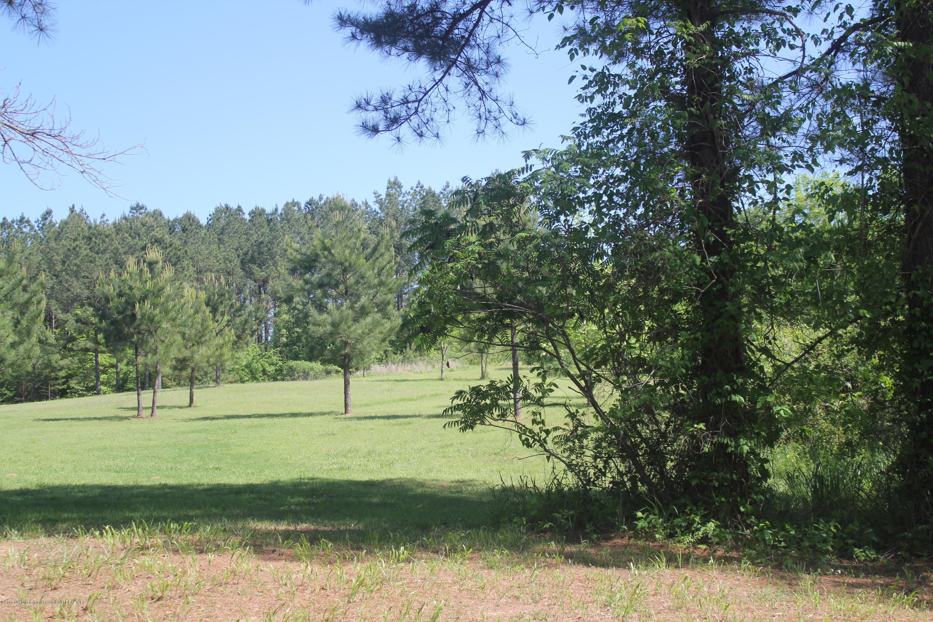 18 Barr Road Coldwater, MS 38618 - Photo 25 of 32 028