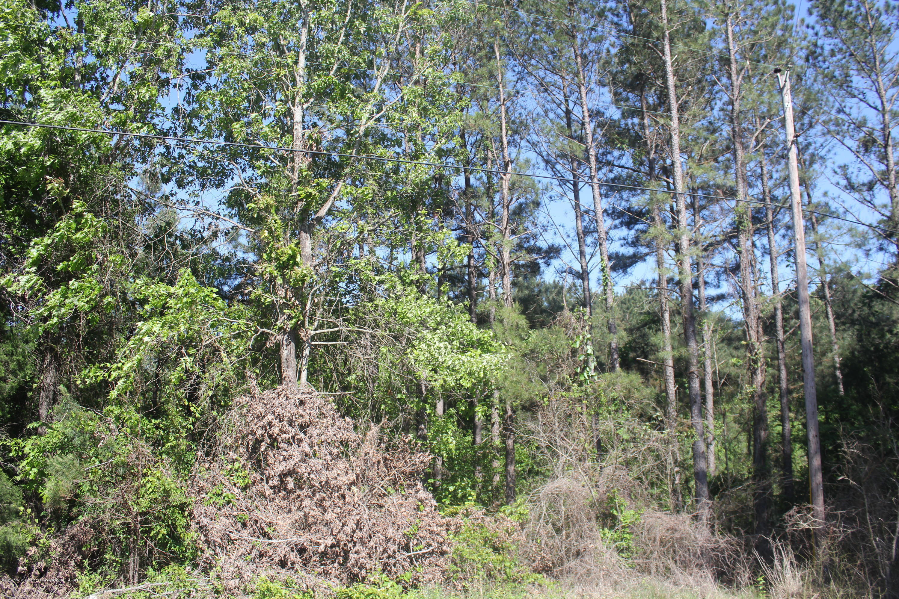 18 Barr Road Coldwater, MS 38618 - Photo 26 of 32 029