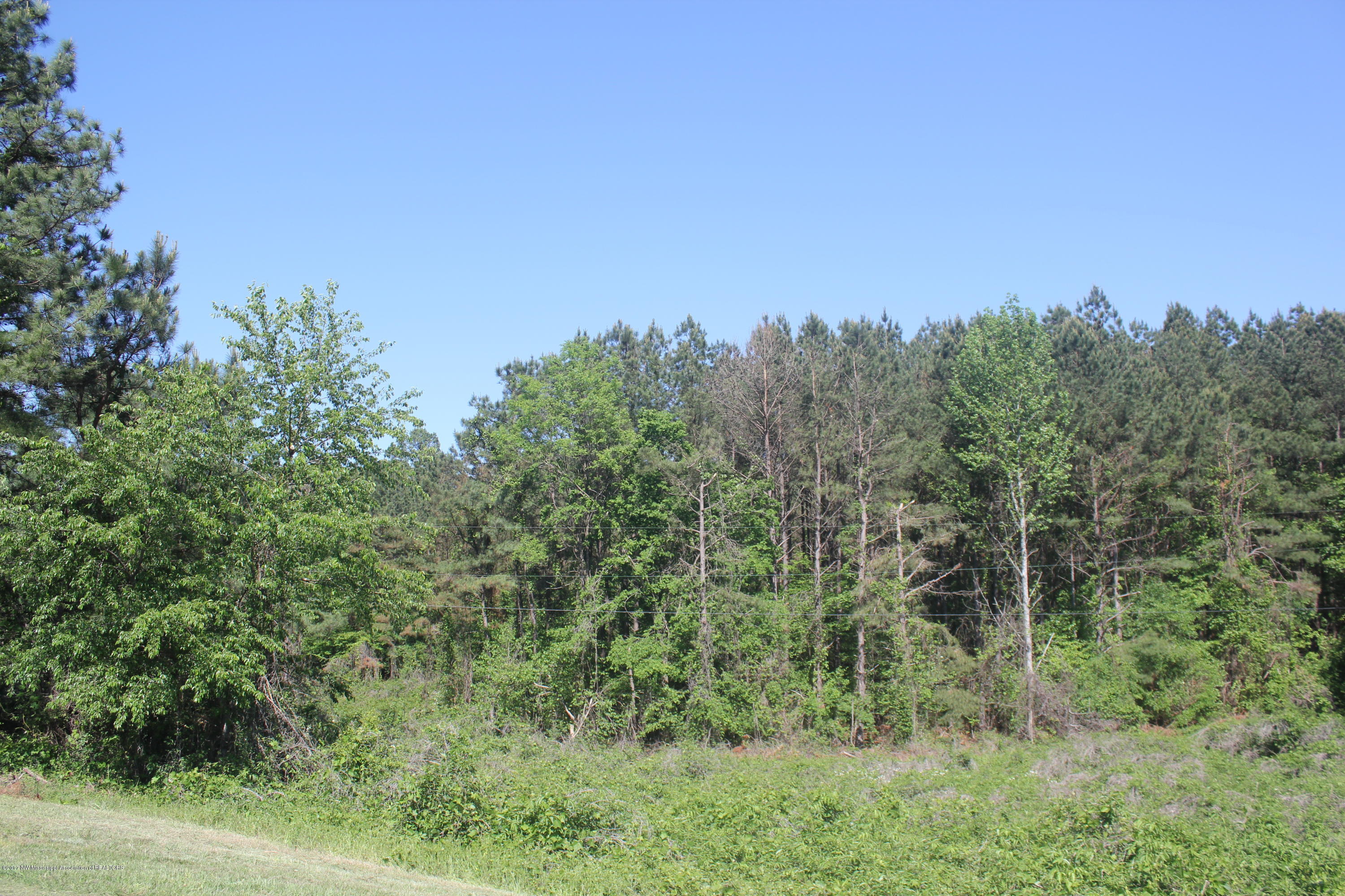 18 Barr Road Coldwater, MS 38618 - Photo 28 of 32 032