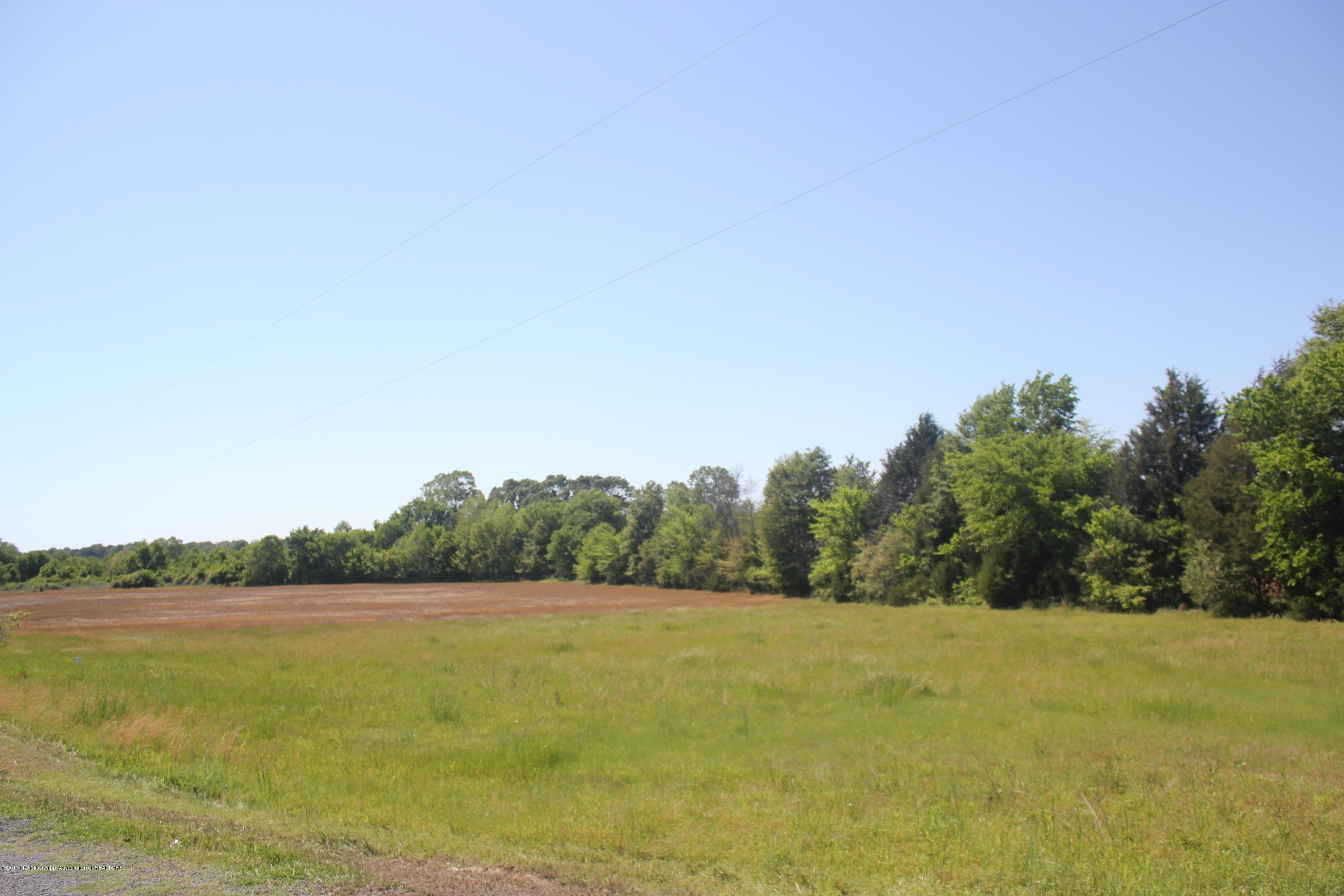 18 Barr Road Coldwater, MS 38618 - Photo 3 of 32 003
