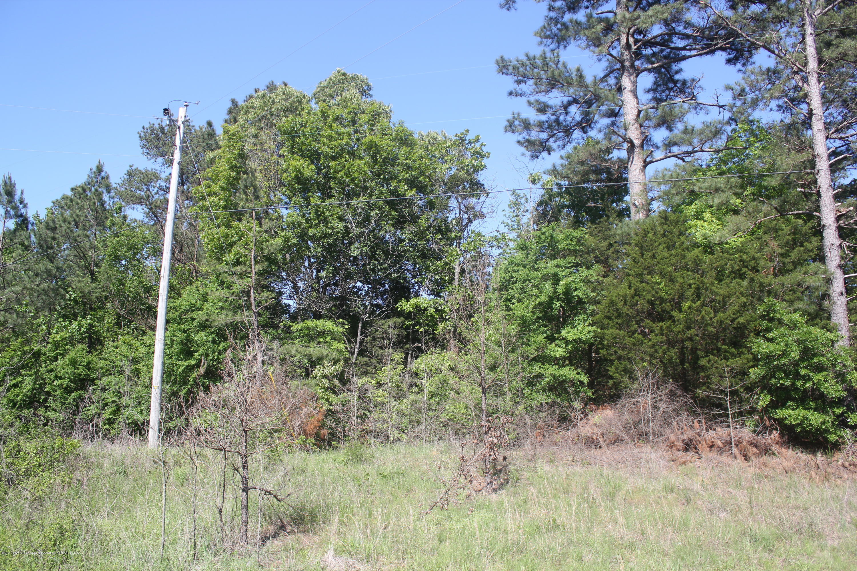 18 Barr Road Coldwater, MS 38618 - Photo 31 of 32 035
