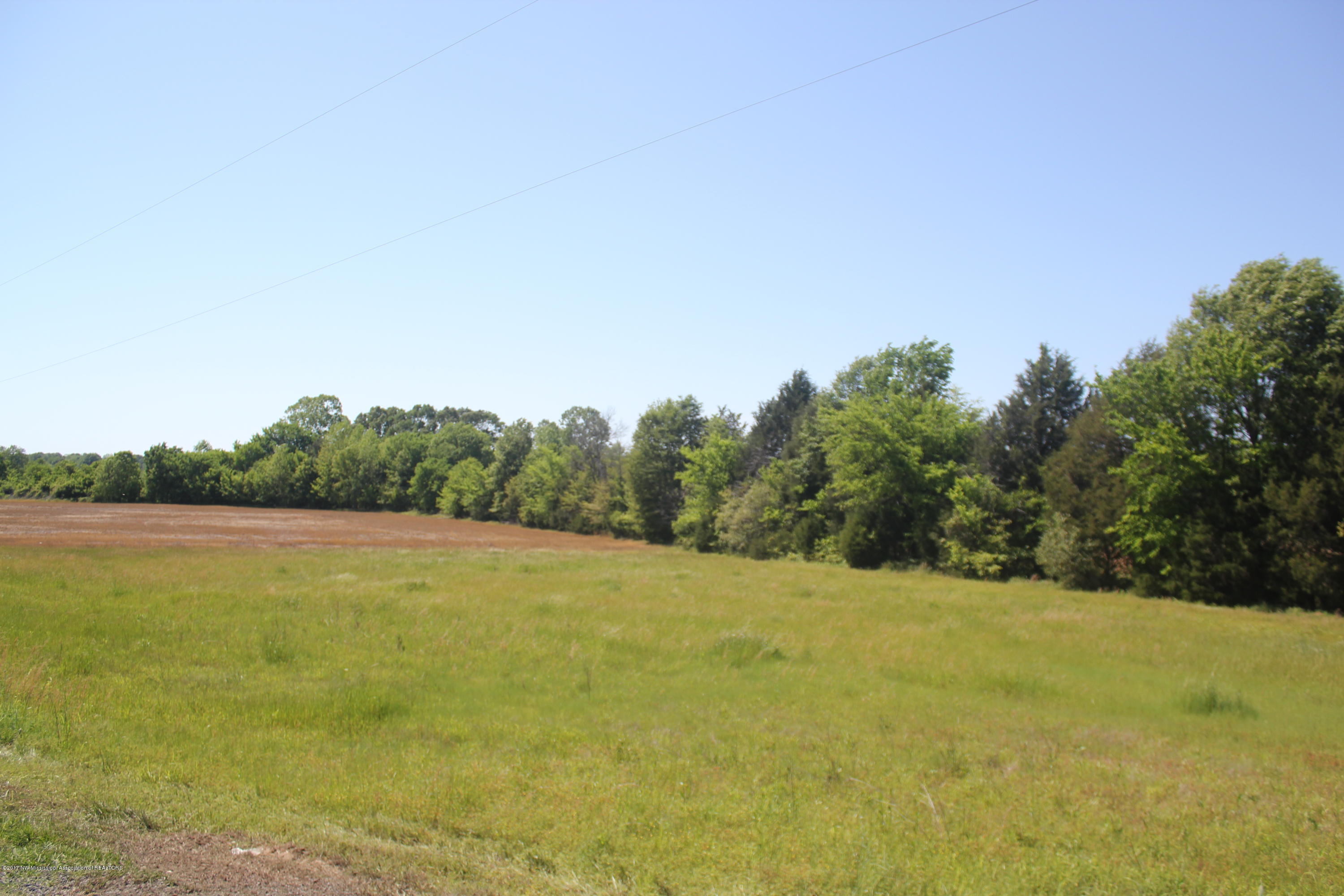 18 Barr Road Coldwater, MS 38618 - Photo 6 of 32 006