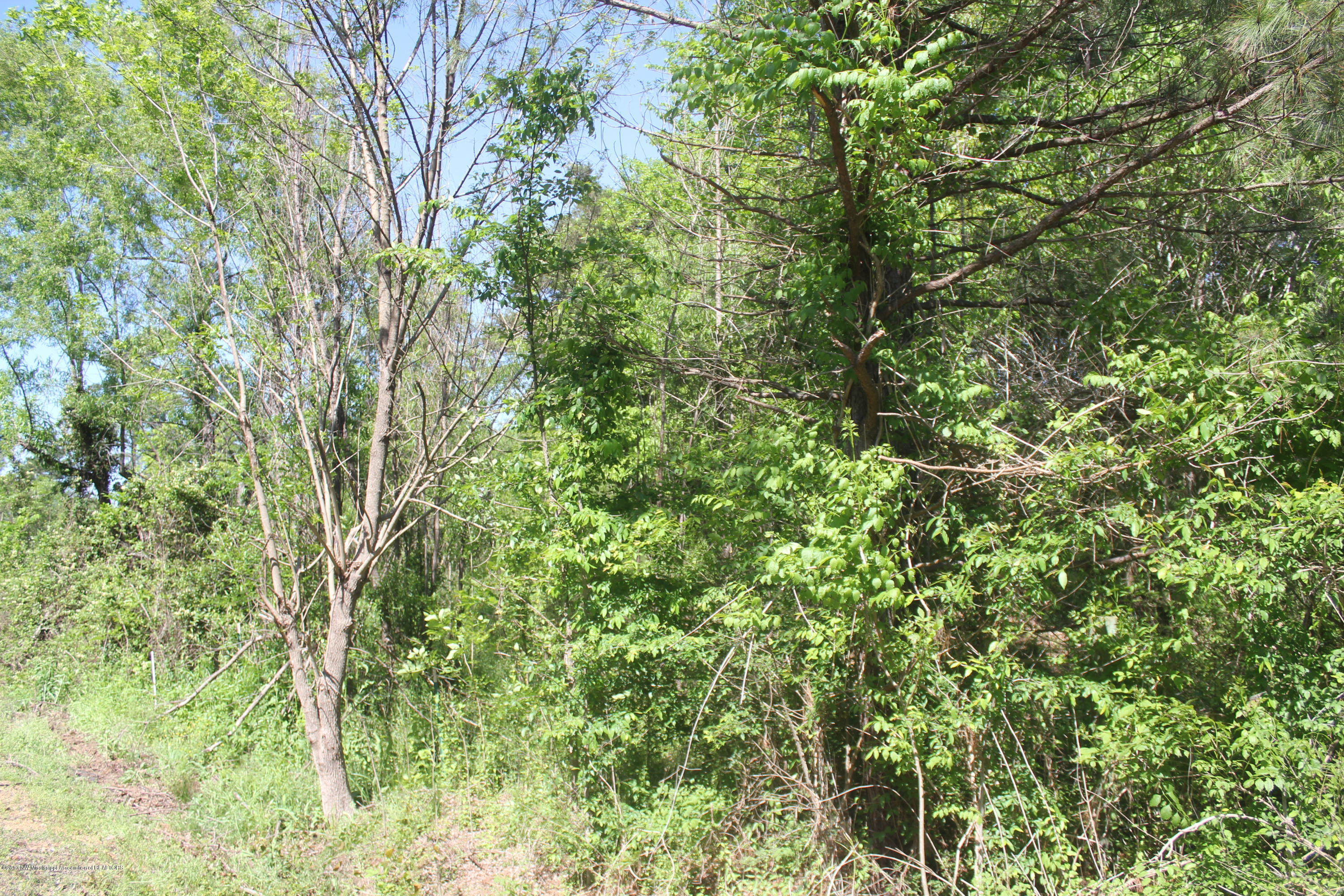 18 Barr Road Coldwater, MS 38618 - Photo 9 of 32 009