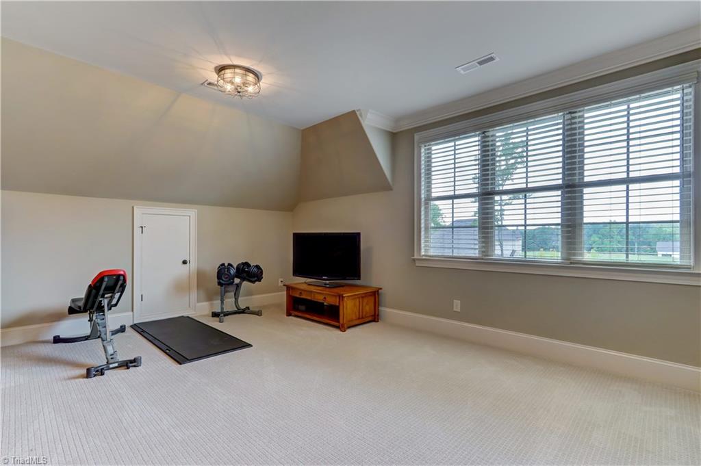 6865 Matzinger Court Oak Ridge, NC 27310 - Photo 23 of 28 Bonus Room / Flex Space. Large windows with wood blinds, access to eve storage. Wall to wall carpeting, two ceiling light fixtures, base and crown molding details.