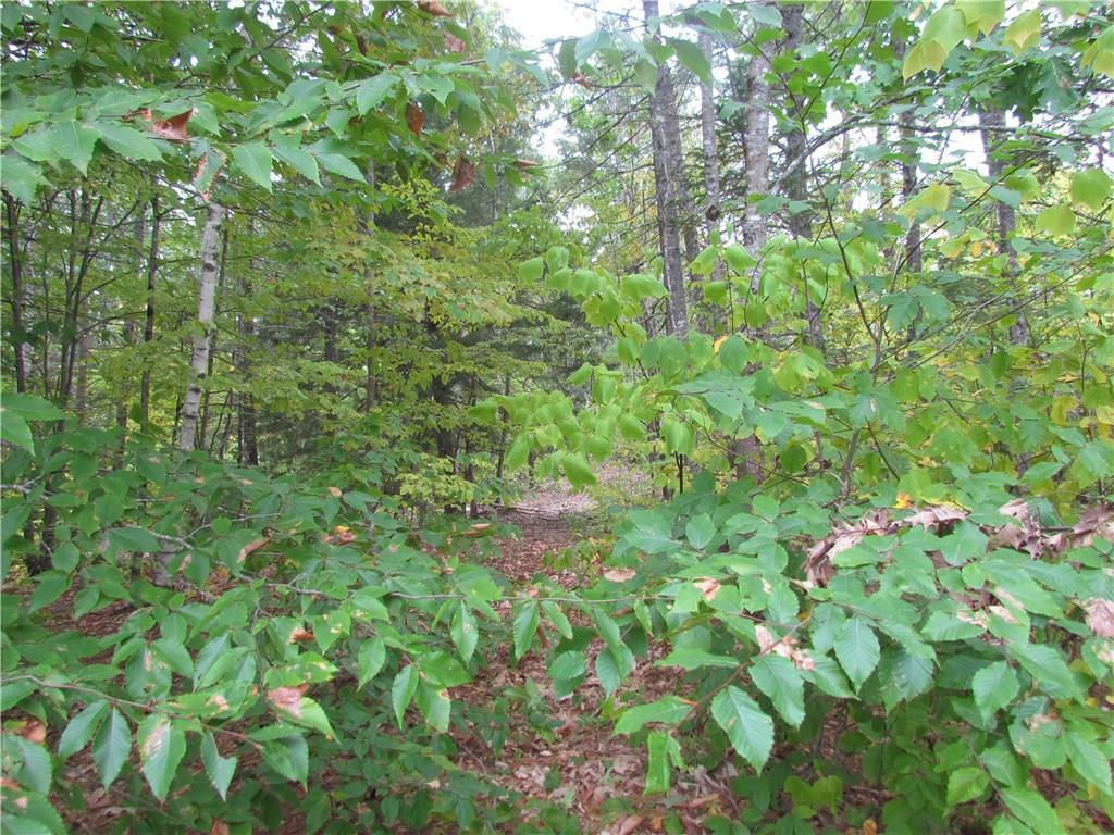 430 Nelson Road Augusta, ME 04330 - Photo 20 of 35 Photo