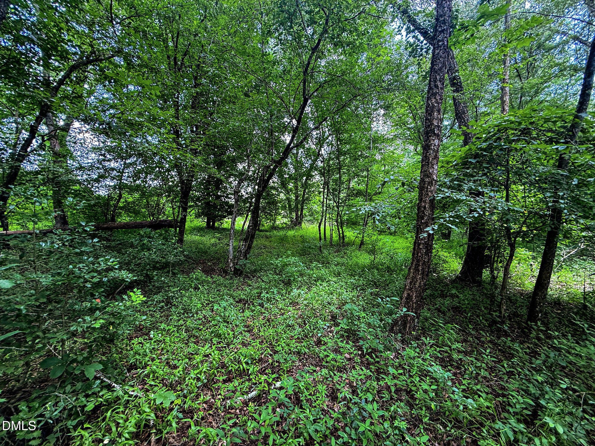 147 Hood Loop Road Henderson, NC 27537 - Photo 29 of 37 29