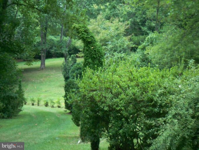 19600 Frog Eye Road Knoxville, MD 21758 - Photo 2 of 20 Yard