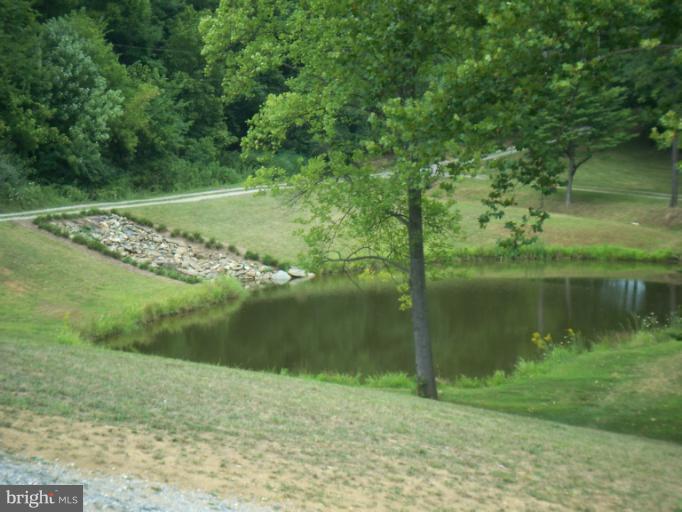 19600 Frog Eye Road Knoxville, MD 21758 - Photo 12 of 20 Pond 1