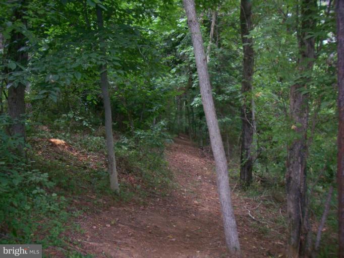 19600 Frog Eye Road Knoxville, MD 21758 - Photo 15 of 20 Trails