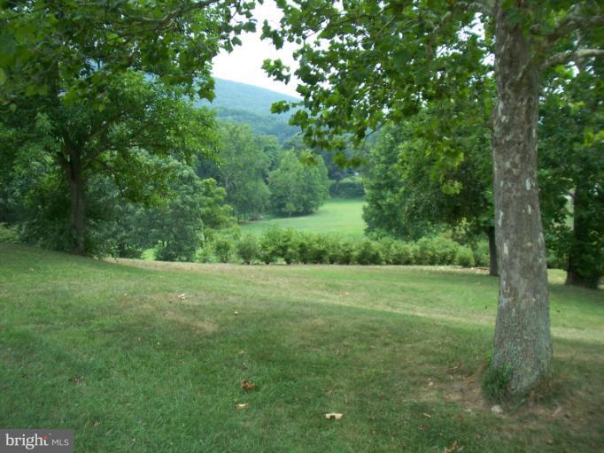 19600 Frog Eye Road Knoxville, MD 21758 - Photo 16 of 20 Yard and View