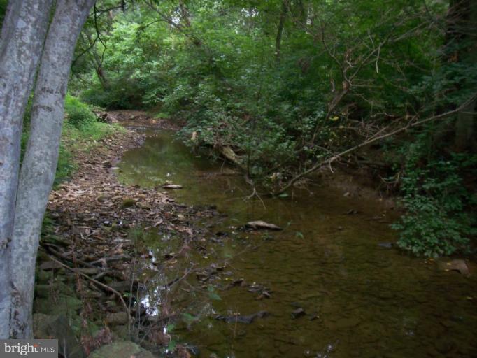 19600 Frog Eye Road Knoxville, MD 21758 - Photo 18 of 20 Stream