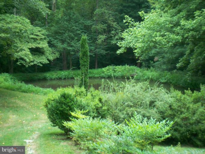 19600 Frog Eye Road Knoxville, MD 21758 - Photo 3 of 20 Pond 2