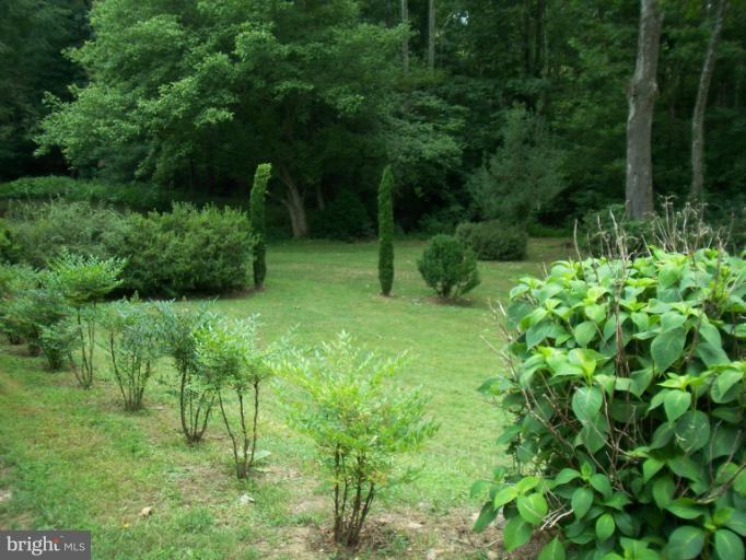 19600 Frog Eye Road Knoxville, MD 21758 - Photo 4 of 20 Yard