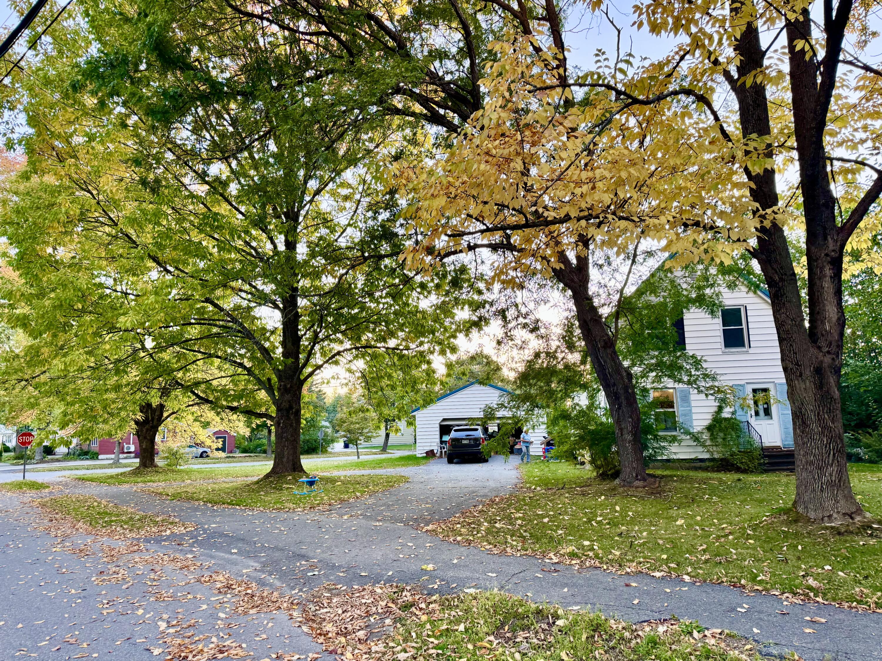 458 Birch Street Bangor, ME 04401 - Photo 14 of 48 Welcome Home