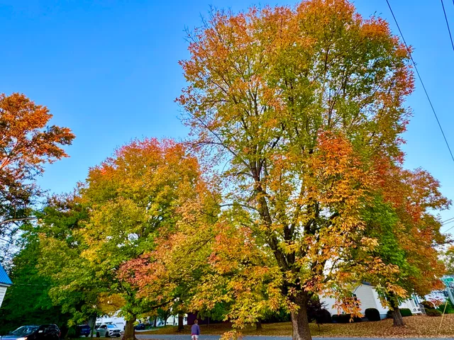 $175,500 | 458 Birch Street, Bangor, ME 04401