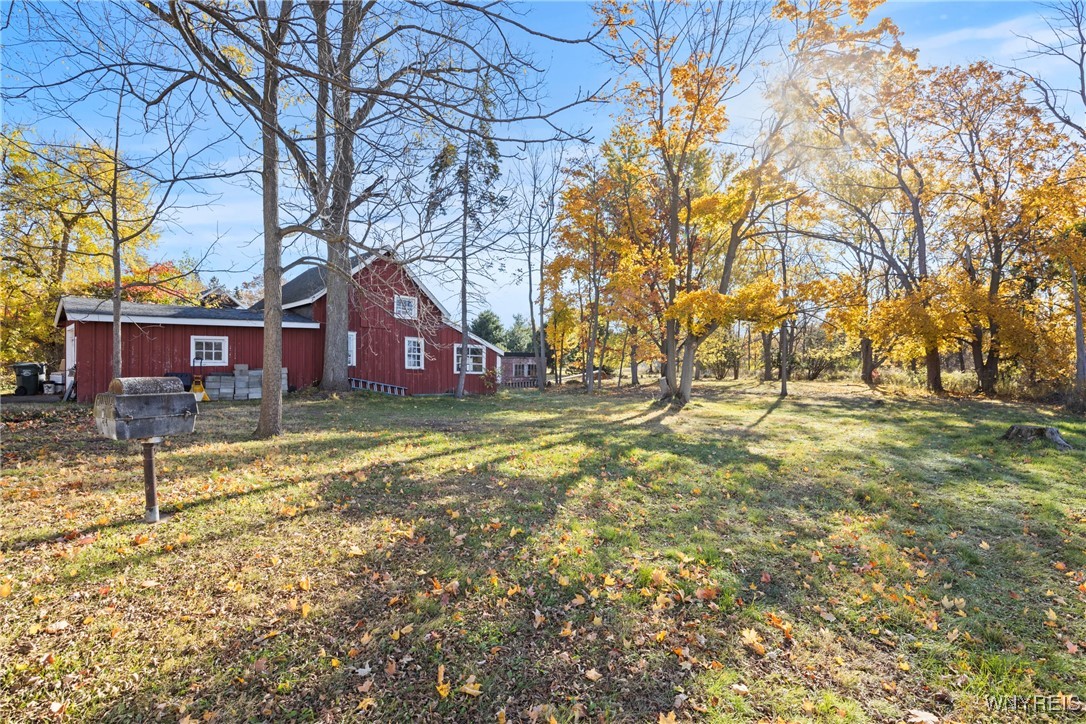 399 Lockport Street Porter, NY 14174 - Photo 8 of 50 large private country sized lot with mature trees