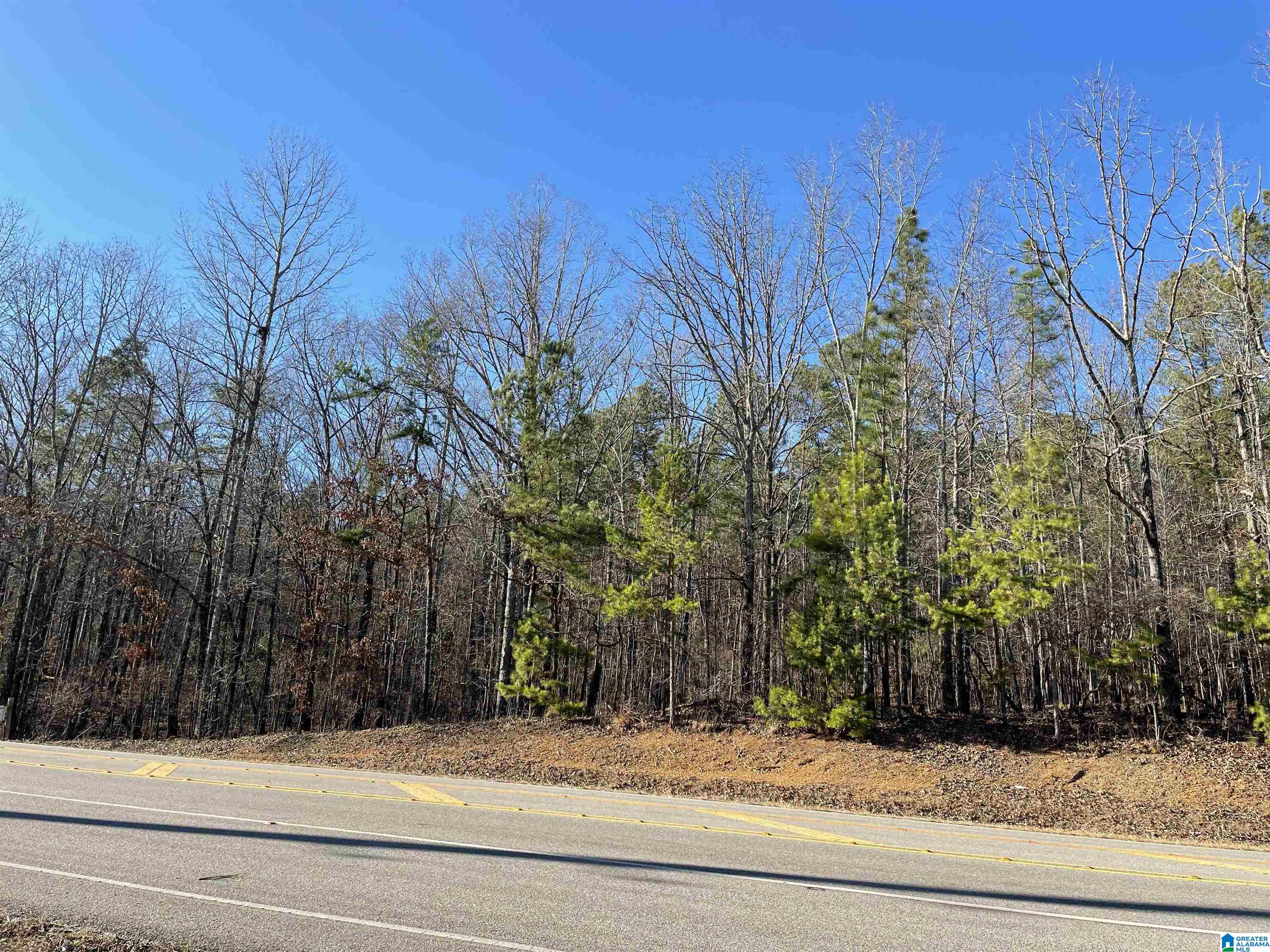 0 Highway 11 Chelsea, AL 35043 - Photo 3 of 3