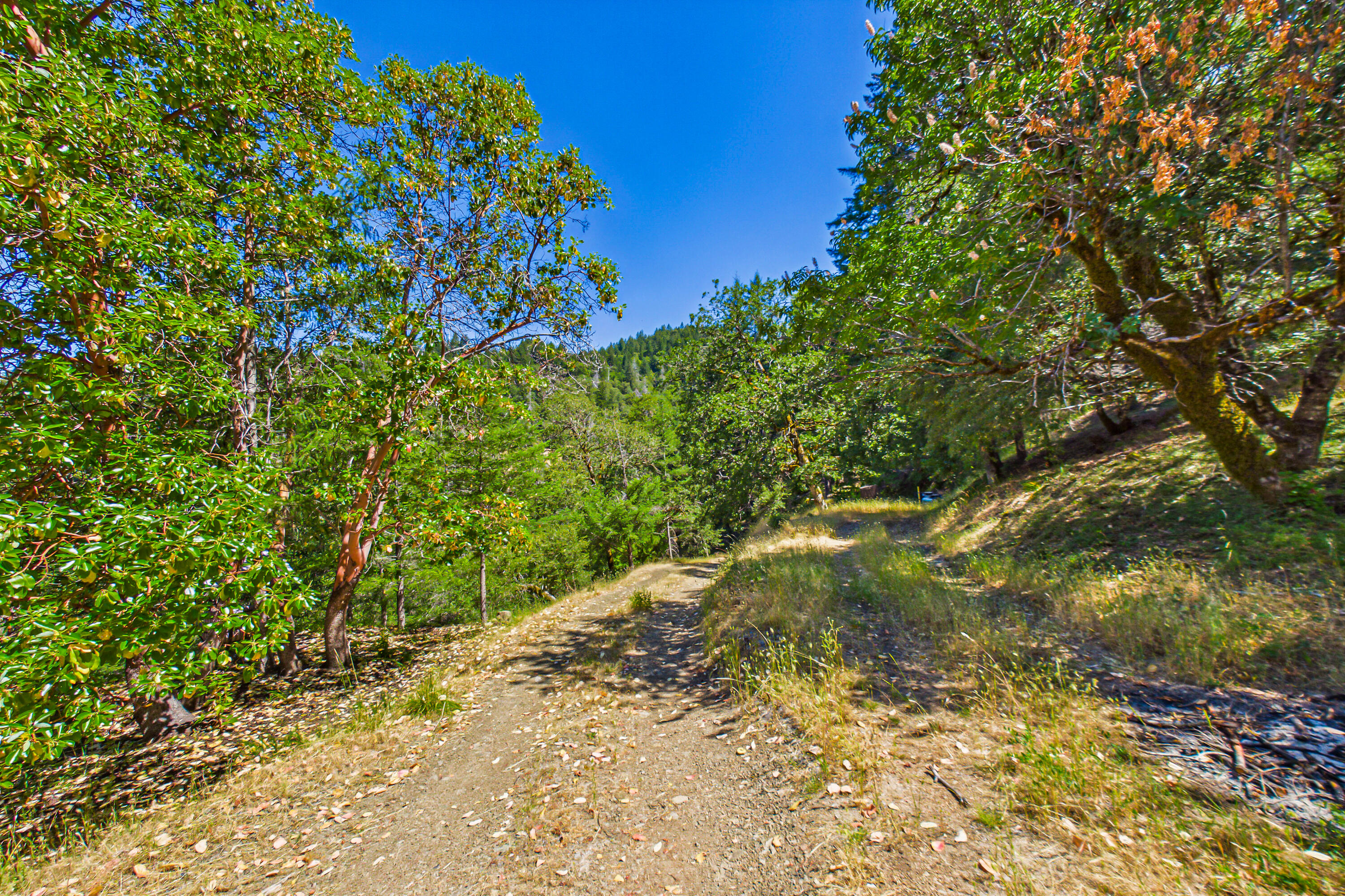 60890 Bell Springs Road Laytonville, CA 95454 - Photo 46 of 77 a backyard of a house with lots of green space