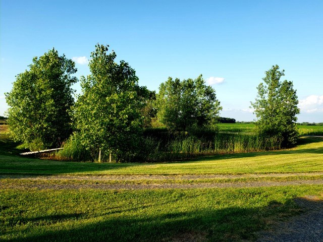 1393 North Nicholson Road Fowlerville, MI 48836 - Photo 15 of 26 31387520-14.JPG
