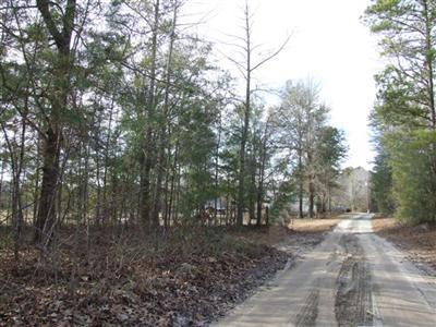 Benson Road Leland, NC 28451 - Photo 1 of 4 Primary Photo