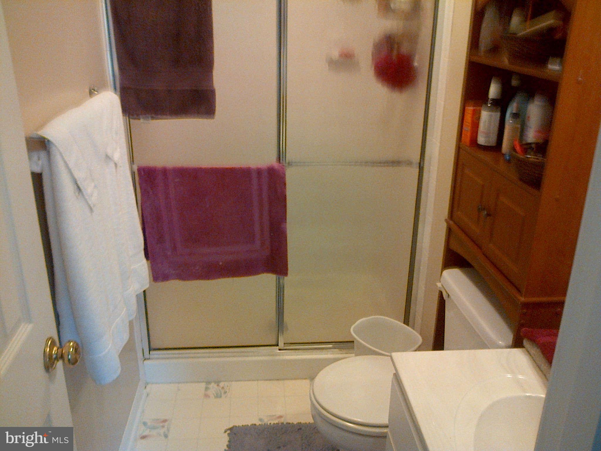9413 Joleon Road Randallstown, MD 21133 - Photo 15 of 21 Bath (Master)