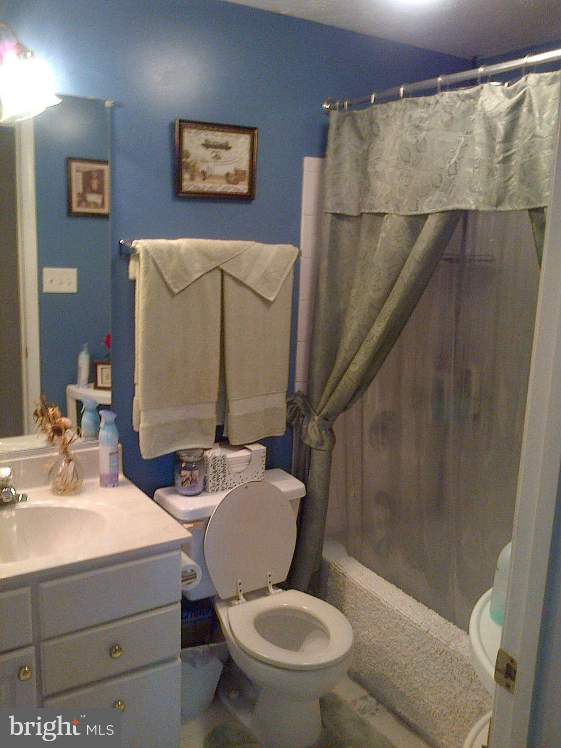 9413 Joleon Road Randallstown, MD 21133 - Photo 16 of 21 Full Bath