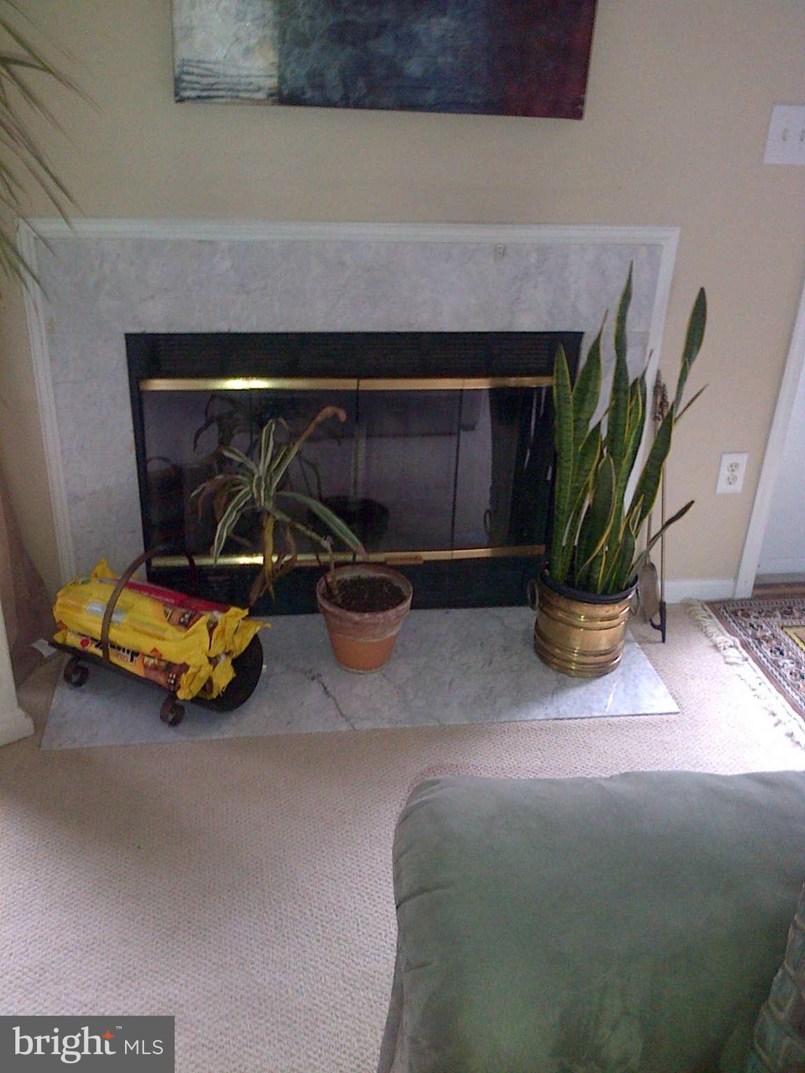 9413 Joleon Road Randallstown, MD 21133 - Photo 8 of 21 Fireplace