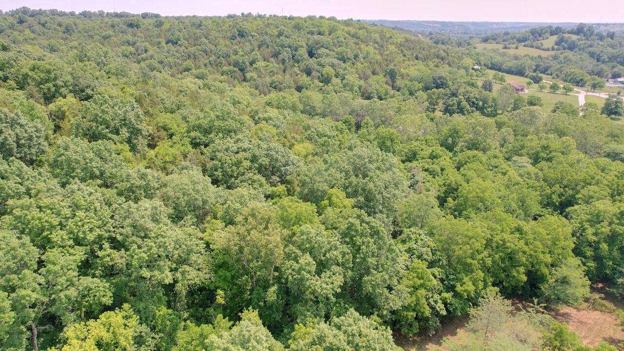 64.8 Turner Ridge Road Falmouth, KY 41040 - Photo 12 of 19 Gallery Image 12