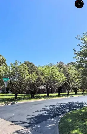 a view of a yard with a tree