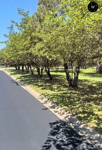 a view of swimming pool from a yard
