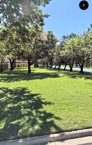 a view of a large trees with lots of trees