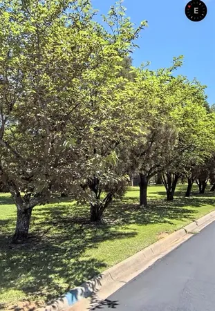 a swimming pool view