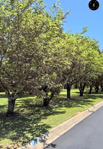 a swimming pool view