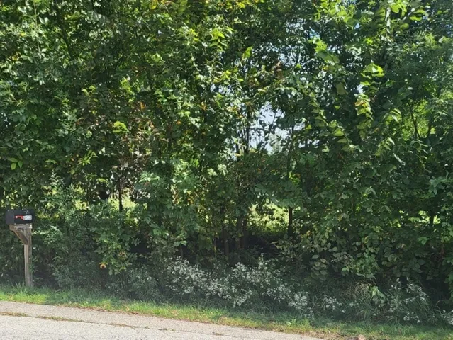 $100,000 | 6-n041 Keeney Road, Roselle, IL 60172