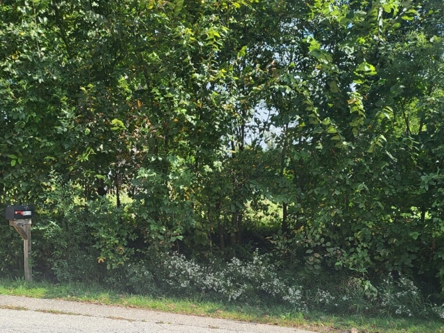 6-n041 Keeney Road Roselle, IL 60172 - Photo 6 of 6 a view of a tree