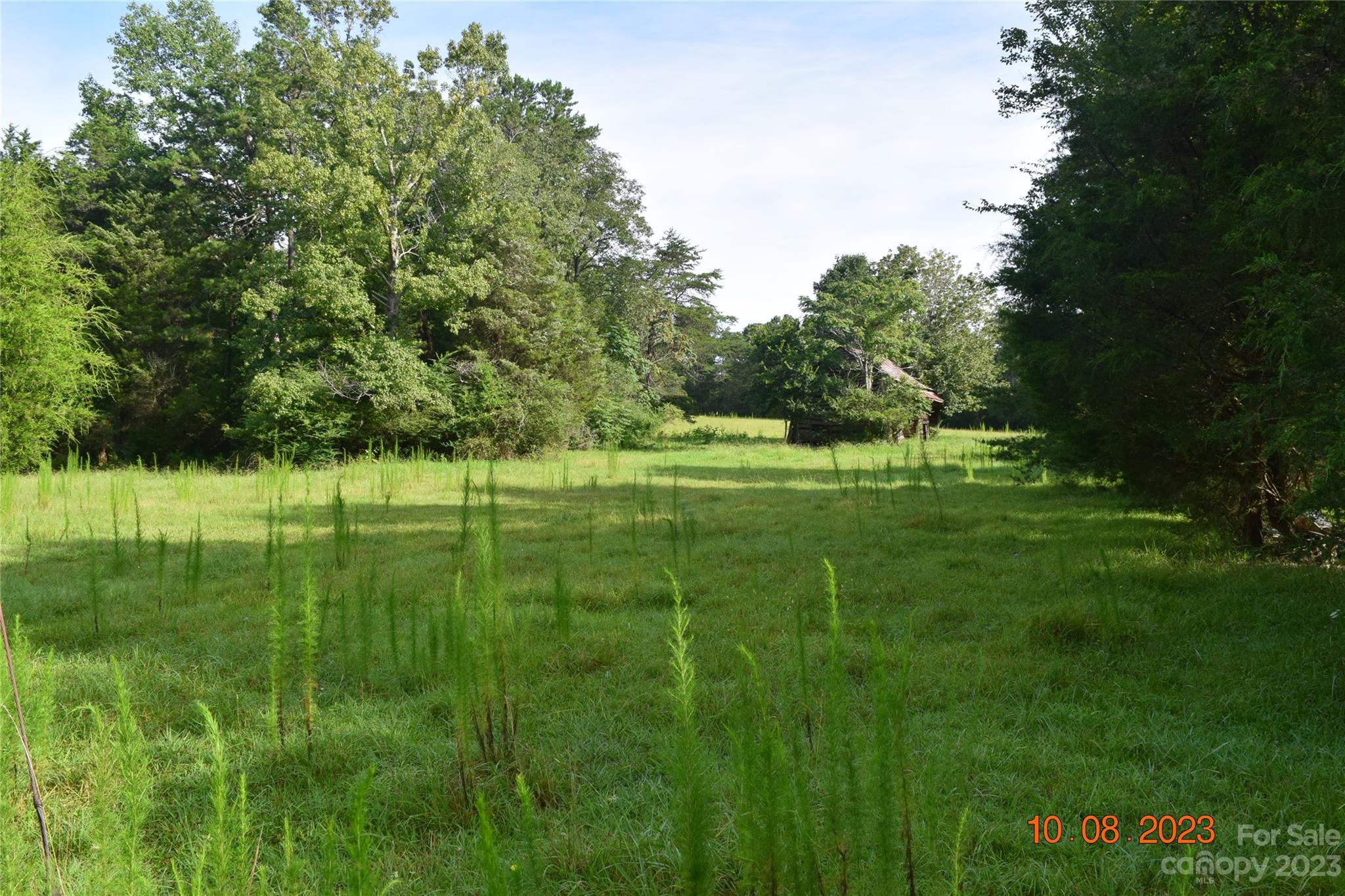 0 Oddie Road Salisbury, NC 28146 - Photo 4 of 12 Gallery Image 4